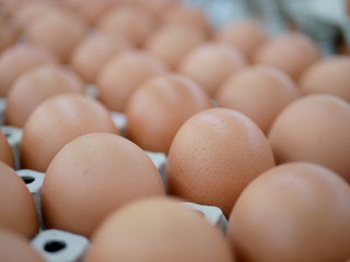 Fresh chicken eggs on trays for sale at a supermarket ready to be picked up by a customer