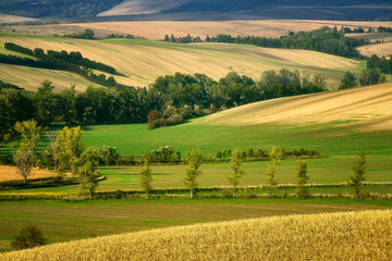 Moravian fields, Moravia, Czech Republic, around the village Kyjov 