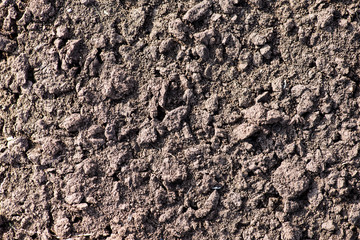 Soil, cultivated dirt.