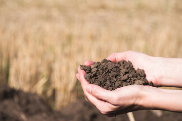 Soil, cultivated dirt.