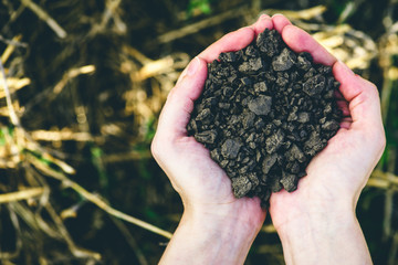 Soil, cultivated dirt.
