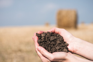 Soil, cultivated dirt.