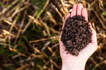 Soil, cultivated dirt.