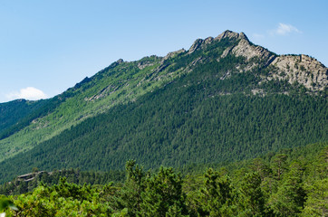 Mountain landscape, mountains covered with pine forest.