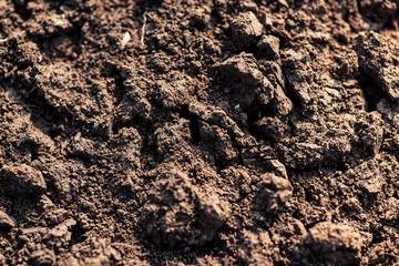 Soil, cultivated dirt.