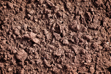 Soil, cultivated dirt.