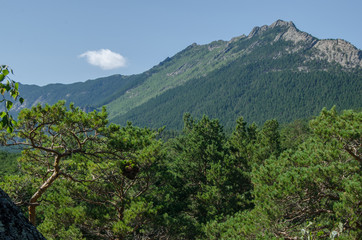 Fototapeta na wymiar Mountain landscape, mountains covered with pine forest.