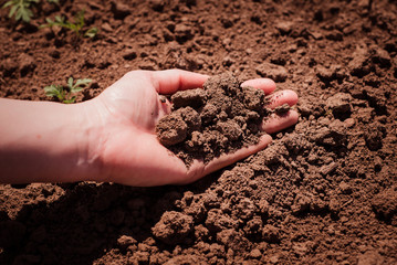 Soil, cultivated dirt.