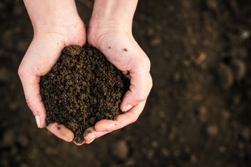 Soil, cultivated dirt.