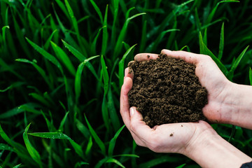 Soil, cultivated dirt.