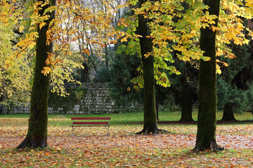 Red Bench in a City Park