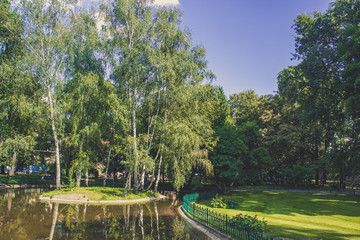 outdoor park natural scenery environment with birch trees near lake