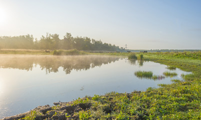 Horses in a field along a misty lake at sunrise in summer