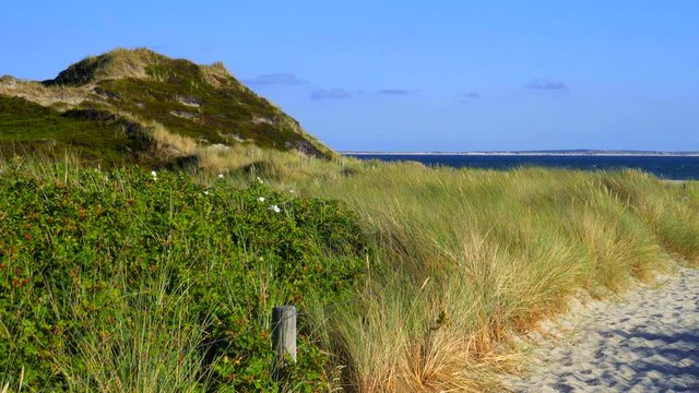 Sylt D&uuml;nen Landschaft in H&ouml;rnum mit Blick auf Amrum