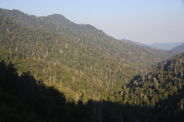 Naklejka premium Smokey Mountain National Parks 