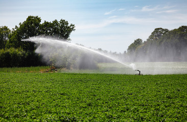 Watering field with portable sprinkler irrigation machine during a drought