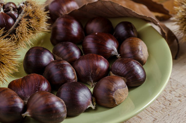 chestnuts and autumn feeling, view of a dish full of chestnuts surrounded by husk and leaves.