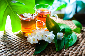Tea with jasmine. Two cups of tea on a natural background of green leaves with jasmine flowers.