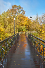 Fototapeta na wymiar bridge with beautiful metal forging, in the park warm autumn in the afternoon