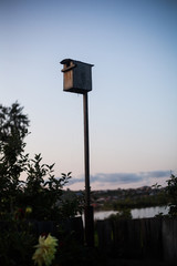 high bird feeder