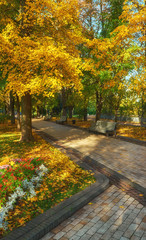 bench in Autumn season with colorful foliage and trees.