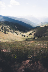 Landscape, scenic views of the back bowls in Vail, Colorado. 
