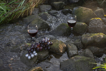 Fototapeta premium Rotweingläser und roten Weintrauben auf Steinen im fließenden Gewässer.