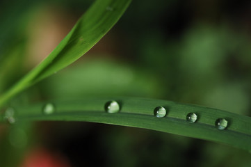 Droplets