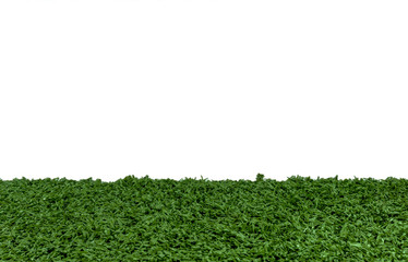 Green artificial grass isolated on white background,Copy Space, Panorama view.