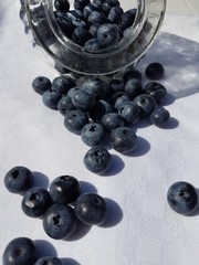  blueberries on white background
