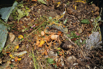 compost