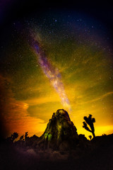 Joshua Tree - Milky Way Rock