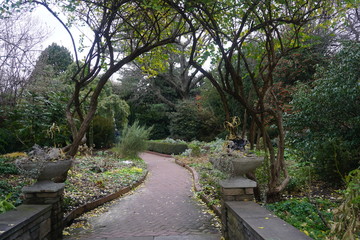 Fototapeta na wymiar Brooklyn Botanical Garden In Summer
