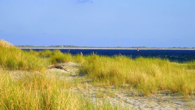 Sylt D&uuml;nen Landschaft in H&ouml;rnum mit Blick auf Amrum