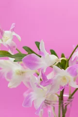 Foto op Canvas Pink orchid flower on a purple background © AnnaMoskvina