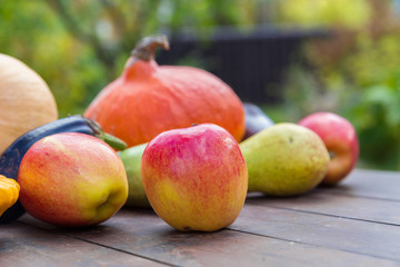 Autumn food crop vegetables harvest outdoors nature