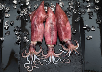 Fresh raw seafood squid with crushed ice on black slate background
