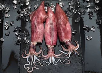Foto auf Acrylglas Fresh raw seafood squid with crushed ice on black slate background © AnnaMoskvina