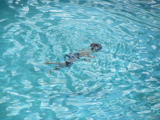 Obraz premium Swimming