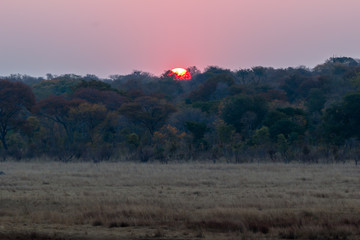 Sunset at Hwenge national park, Zimbabwe