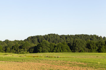 summer landscape