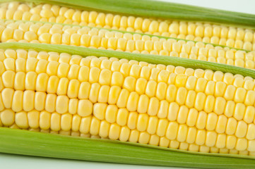 Close-up of fresh corn on the cob. Corn grain crop.