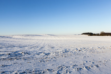 snow-covered field, winter