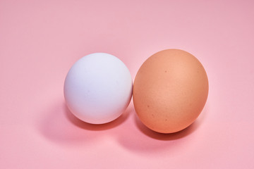 卵　色背景
