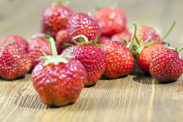 red berries of strawberry