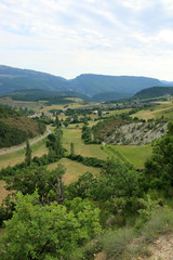Fototapeta na wymiar Landschaft in der Provence