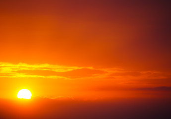 Obraz premium OLYMPUS DIGITAL CAMERA