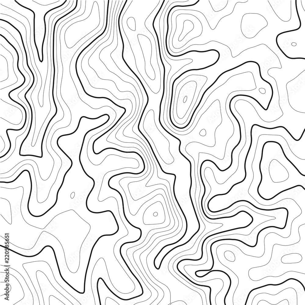 Poster topographic map background. grid map. contour map vector. business concept. abstract vector illustra