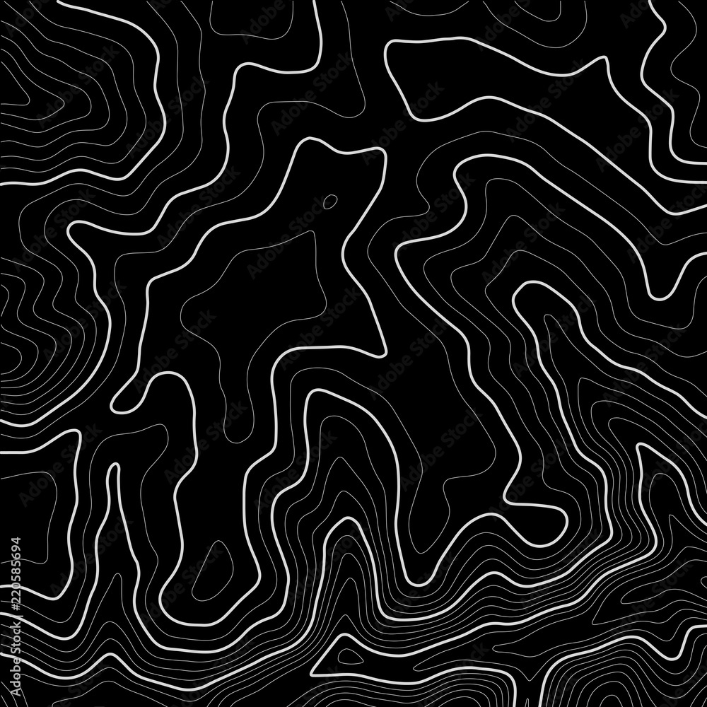 Poster topographic map background. grid map. contour map vector. business concept. abstract vector illustra