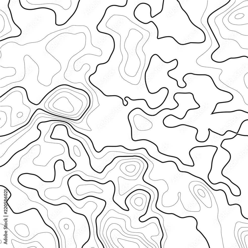 Poster topographic map background. grid map. contour map vector. business concept. abstract vector illustra